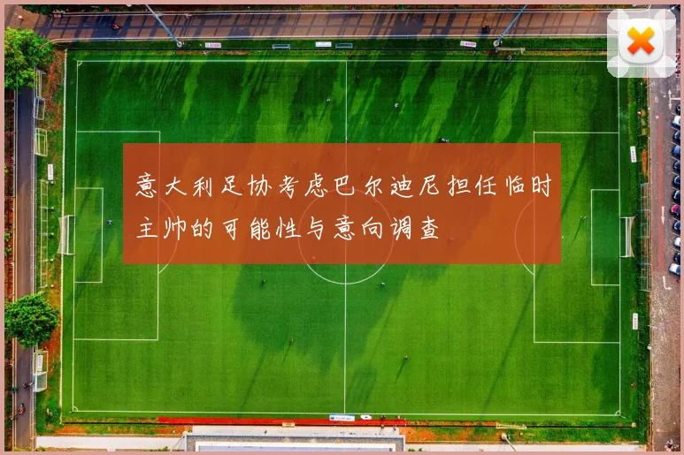 意大利足协考虑巴尔迪尼担任临时主帅的可能性与意向调查